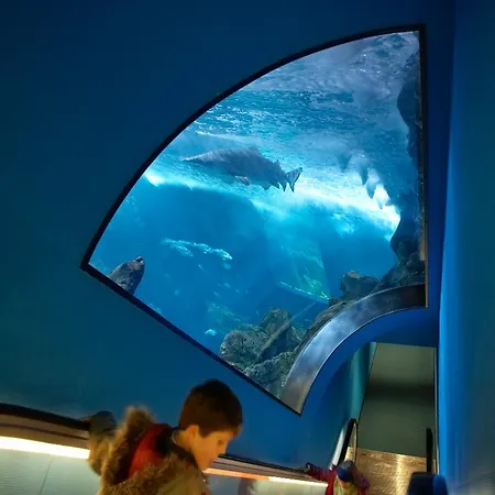 ホテル Alda Pasaje